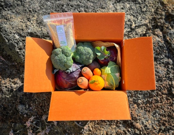 A box of Jeju produce