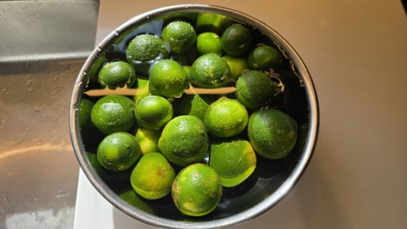 Washing green tangerines