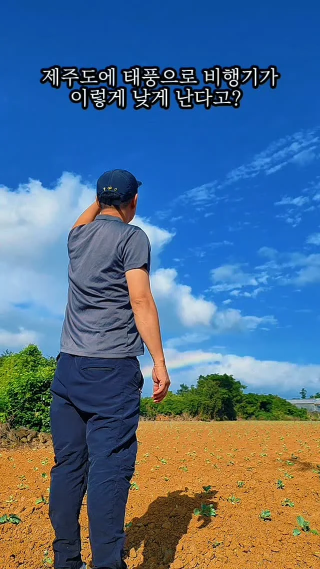 Planes fly this low in Jeju because of the typhoon?
MIEDEN F