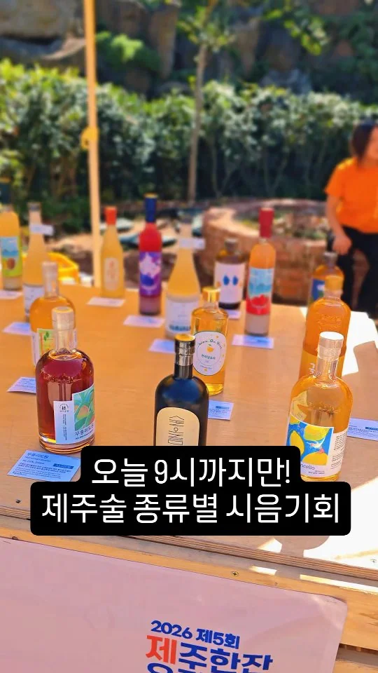 We're at the Jeju Hanjan Korean Sool Festival right now 🍊🥂