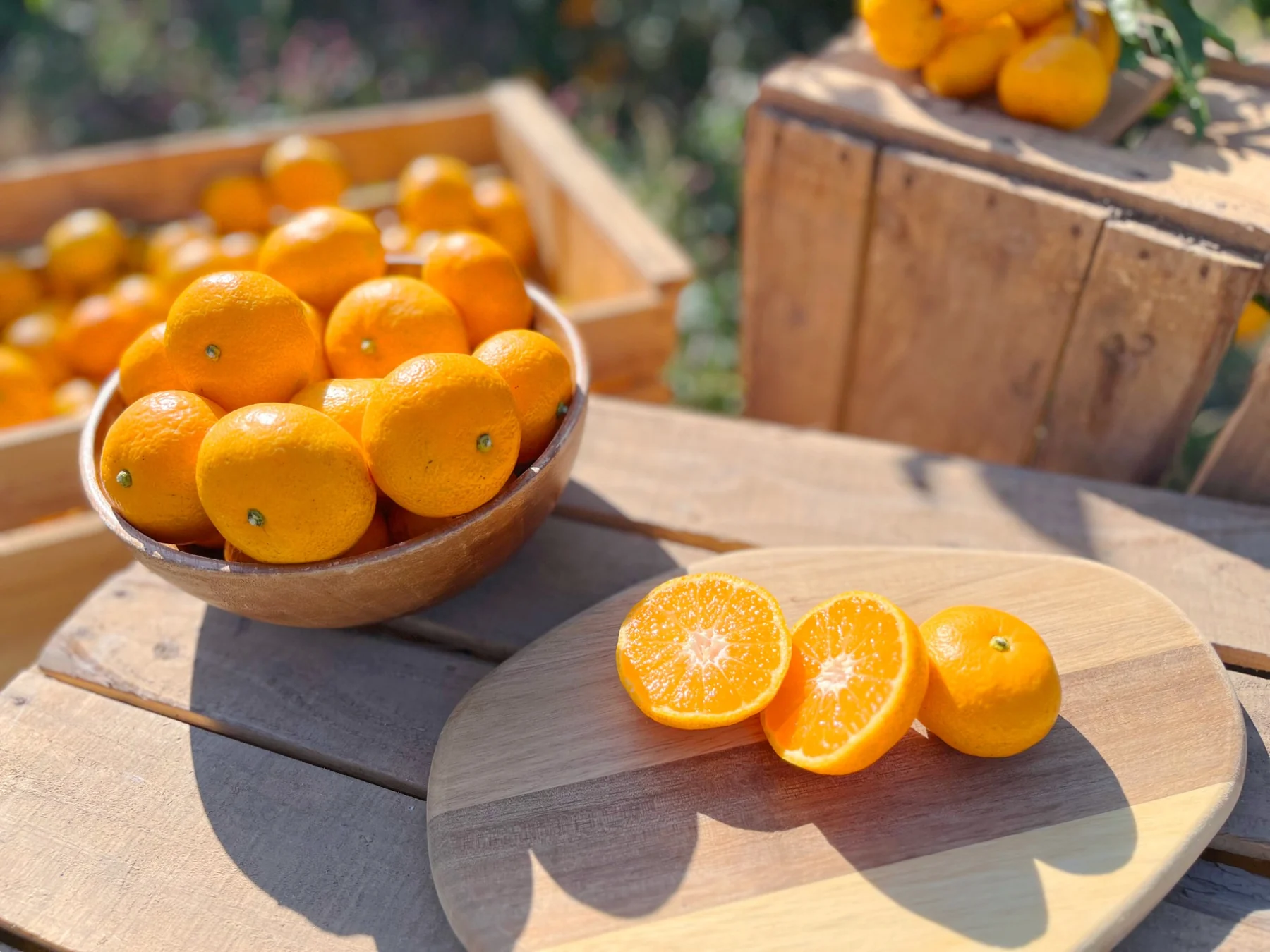 Tangerines in a wooden bowl and a tangerine cut in half on a cutting board (photo by MIEDEN FARM)
