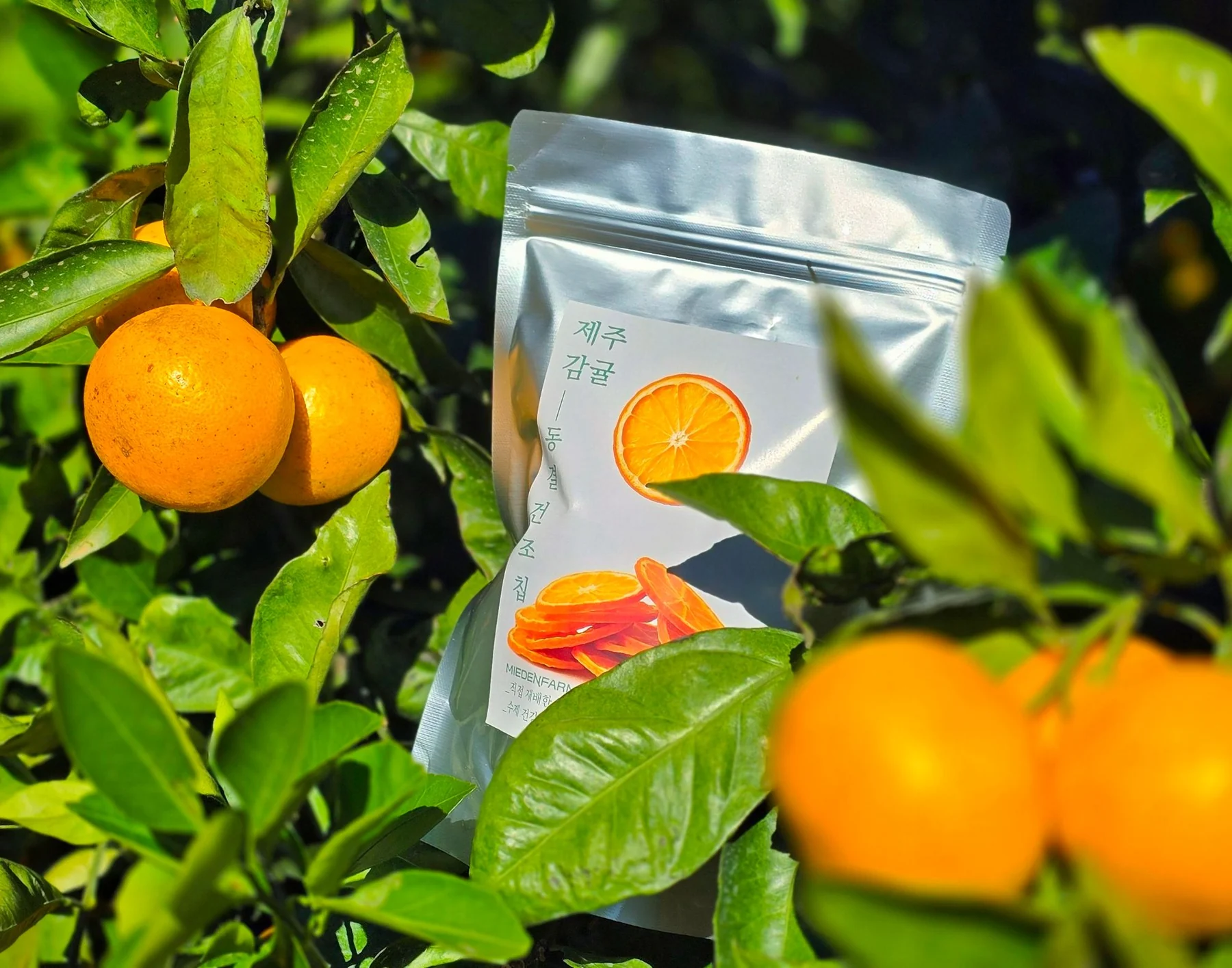 A bag of tangerine freeze-dried chips among tangerine trees (photo by MIEDEN FARM)