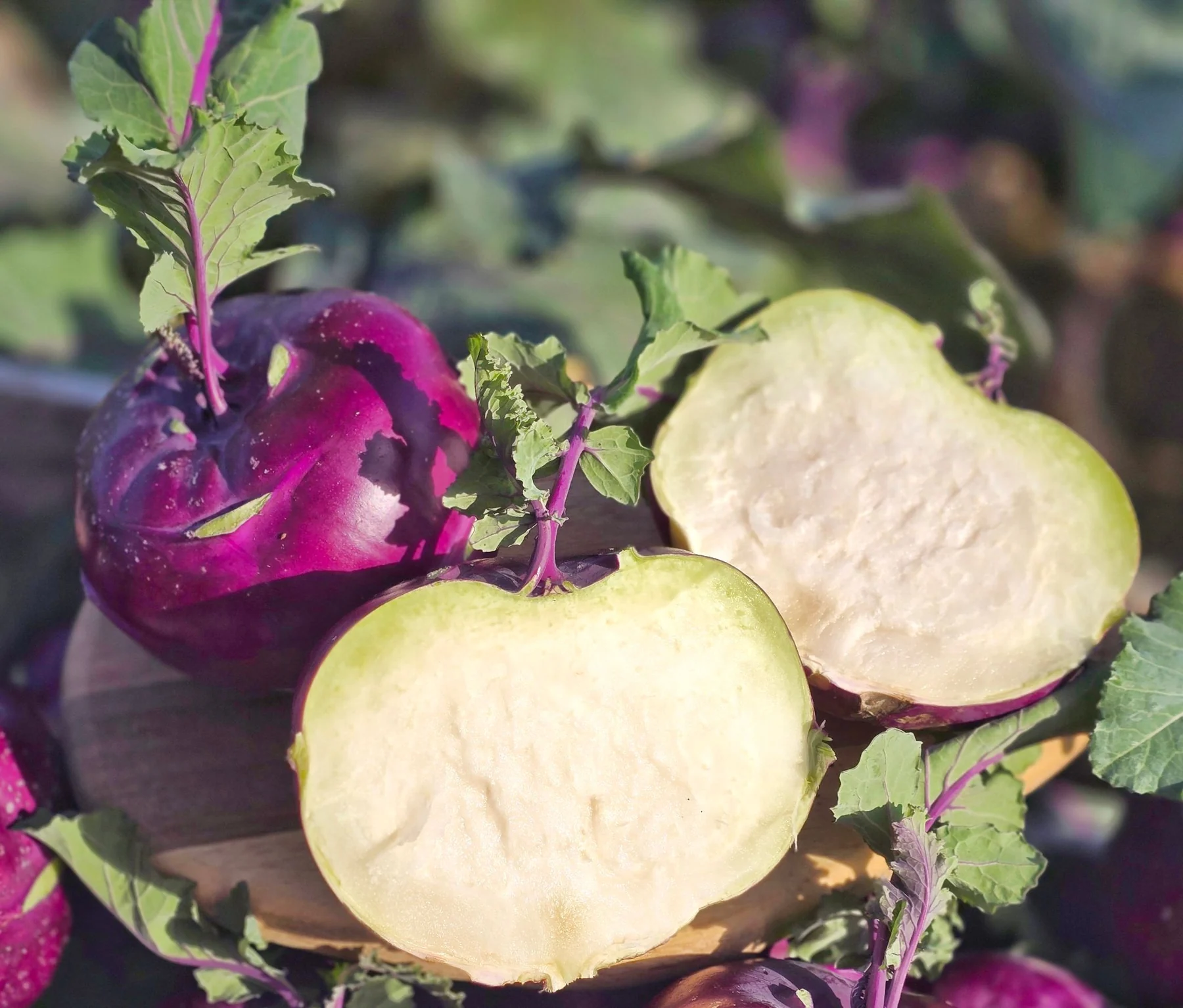 A halved kohlrabi and a whole kohlrabi (photo by MIEDEN FARM)