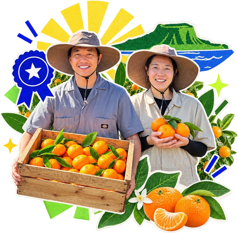 Collage illustration of two farmers in straw hats smiling with a crate of tangerines